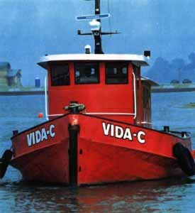 VidaC